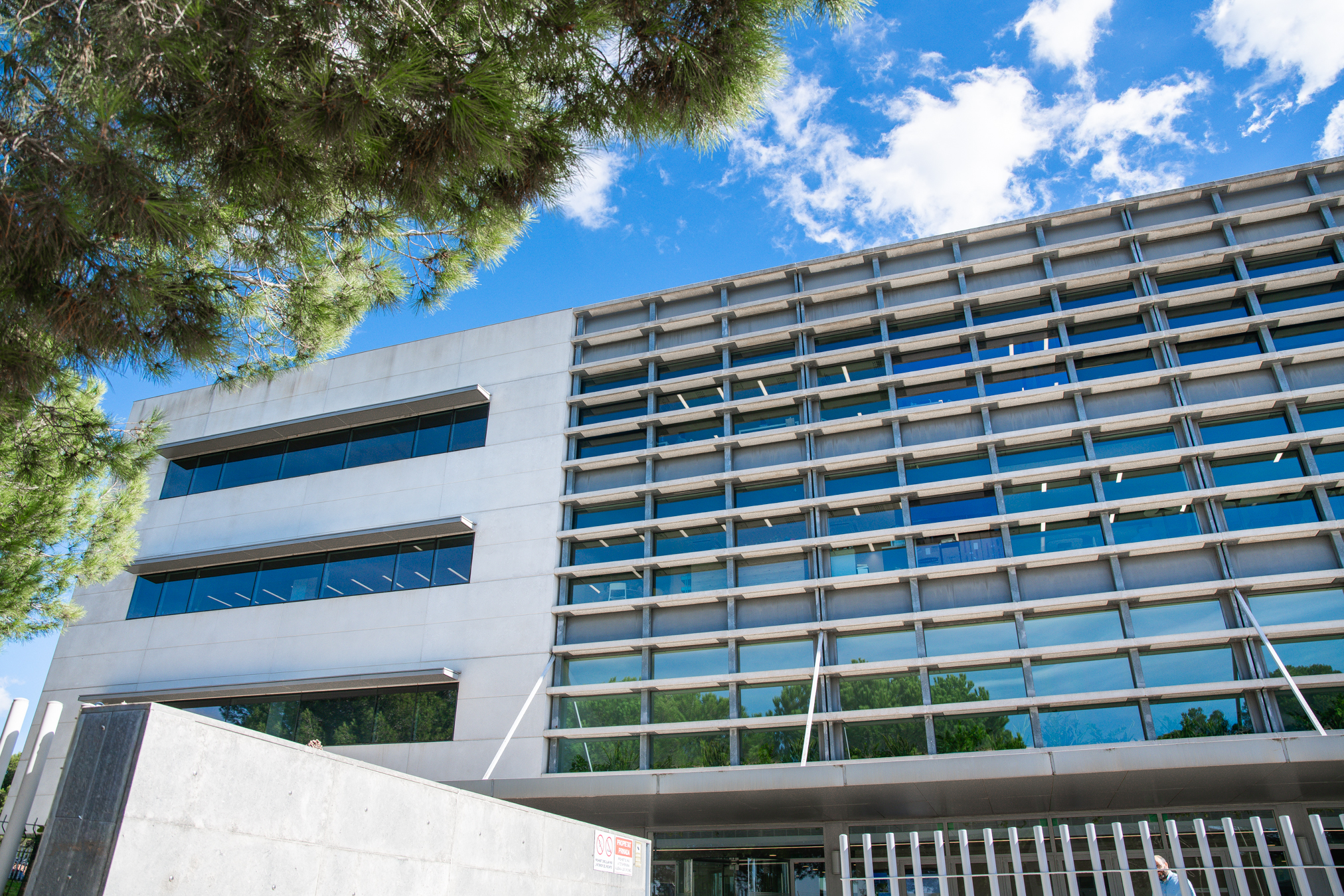 We began developing solutions to companies through innovative methods and algorithms to face challenging problems